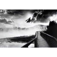 Walkway over the Lake Poster Print, 36x24 Poster Print, 36x24