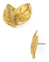 The leaf motif comes cast in striking gold plated metal on this pair of button earrings from Carolee Lux. Slip them up for a glamorous take on natural inspiration.