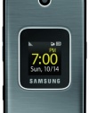 Samsung M400 Phone (Sprint)