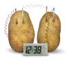 4M Potato Clock