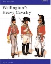 Wellington's Heavy Cavalry (Men-at-Arms)