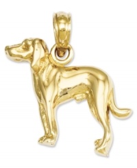 Pay tribute to your favorite breed! This adorable Greyhound Dog charm will melt your heart. Crafted in polished 14k gold. Chain not included. Approximate length: 3/4 inch. Approximate width: 7/10 inch.