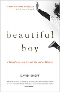 Beautiful Boy: A Father's Journey Through His Son's Addiction