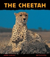 The Cheetah: Fast as Lightning (Animal Close-Ups)