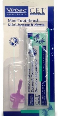 CET Mini Toothbrush with Poultry Toothpaste 12g