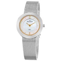 Skagen Women's 892SGS Steel Mother-Of-Pearl Dial Swarovski Crystal Watch