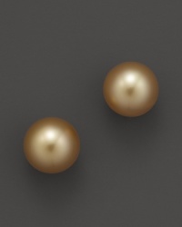 Naturally colored, cultured South Sea golden pearls lend a unique look to classic studs. From Tara Pearls.