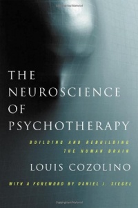 The Neuroscience of Psychotherapy: Healing the Social Brain (Second Edition)  (Norton Series on Interpersonal Neurobiology)