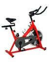 Sunny SF-B1001 Indoor Cycling Bike