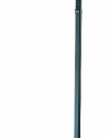 Verilux Original Natural Spectrum Deluxe Floor Lamp, Graphite