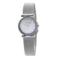 Skagen Women's 108SSS1 Silver Dial Swarovski Elements Watch