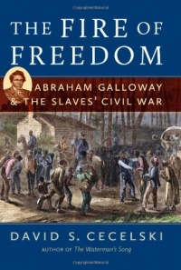 The Fire of Freedom: Abraham Galloway and the Slaves' Civil War