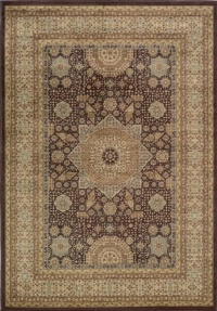 Area Rug 5x7 Rectangle Traditional Brown Color - Momeni Belmont Rug from RugPal