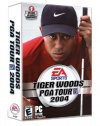 Tiger Woods PGA Tour 2004