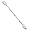 Chromo Inc.® iPhone 5 Micro USB To Lightning Adapter Cable For iPad Mini, iPod Touch 5, iPhone 5