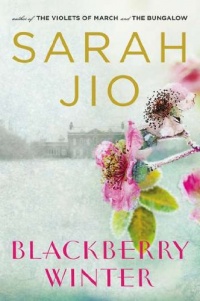 Blackberry Winter: A Novel