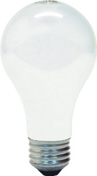 GE Lighting 48309 75-Watt Soft White Double Life A19 Light Bulb, 4-Pack