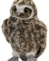 Ty Beanie Baby Digger - Guardians of Ga'Hoole owl