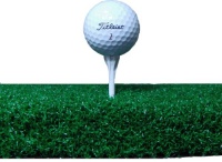 TT4860 48 X 60 Monster Tee Golf Turf