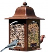 Birdscapes 367 Tulip Garden Lantern Bird Feeder