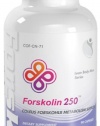 Forskolin 250 Forskolin Coleus Forskohlii Root 250mg Yielding 50 mg Active Forskolin 90 Capsules 1 Bottle