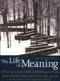 The Life of Meaning: Reflections on Faith, Doubt, and Repairing the World