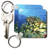 Bluestriped grunt fish, Caribbean - NA02 MDE0014 - Michael DeFreitas - Set Of 6 Key Chains