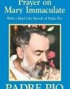 Meditation Prayer on Mary Immaculate