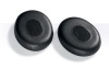 QuietComfort® 3 ear cushion kit