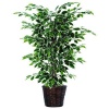 Bushes 48 Artificial Potted Natural Variegated Ficus Tree in Dark Green