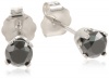 14k White Gold Black Diamond Stud Earrings (1/2 cttw)