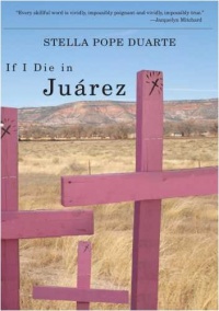 If I Die in Juárez (Camino del Sol)