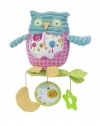 Maison Chic 6 Boy Owl Multifunctional Toy