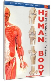 Just The Facts: The Human Body - Musculoskeletal