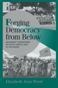 Forging Democracy from Below: Insurgent Transitions in South Africa and El Salvador (Cambridge Studies in Comparative Politics)