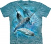 Narwhals T-Shirts 100% Cotton Short Sleeved Shirt, Aqua, Medium Adult