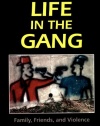 Life in the Gang: Family, Friends, and Violence (Cambridge Studies in Criminology)