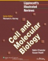 Cell and Molecular Biology (Lippincott's Illustrated Reviews Series)