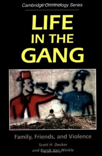 Life in the Gang: Family, Friends, and Violence (Cambridge Studies in Criminology)