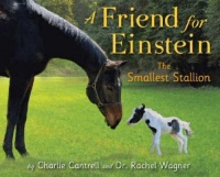 A Friend for Einstein, the Smallest Stallion