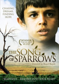 The Song Of Sparrows