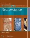 Lippincott's Illustrated Q&A Review of Neuroscience