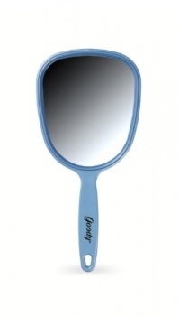 11 1/4 FULL SIZE HAND MIRROR, Color may vary