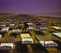 A Momentary Lapse Of Reason