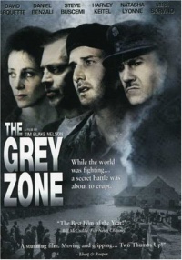 The Grey Zone