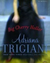 Big Cherry Holler: A Novel (Ballantine Reader's Circle)