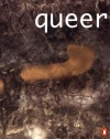 Queer: A Novel