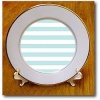 InspirationzStore Stripe Patterns - Mint and White Striped pattern - retro nautical - pastel turquoise teal aqua sea blue green stripes - Plates - 8 inch Porcelain Plate