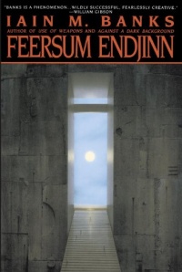 Feersum Endjinn