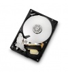 HGST Deskstar 3.5-Inch 500GB 7200RPM SATA II 16MB Cache Internal Hard Drive (0F10381)